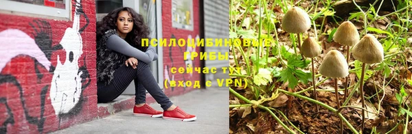 синтетический гашиш Алексеевка