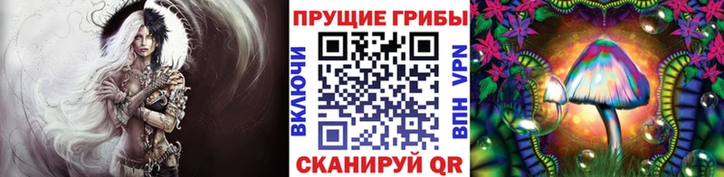 Псилоцибиновые грибы GOLDEN TEACHER  Большой Камень 