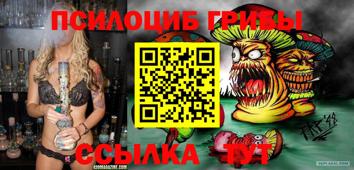 Псилоцибиновые грибы мухоморы Большой Камень